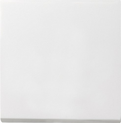 Лицевая панель Gira System55 для 1-кл. выключателя белый матовый картинка